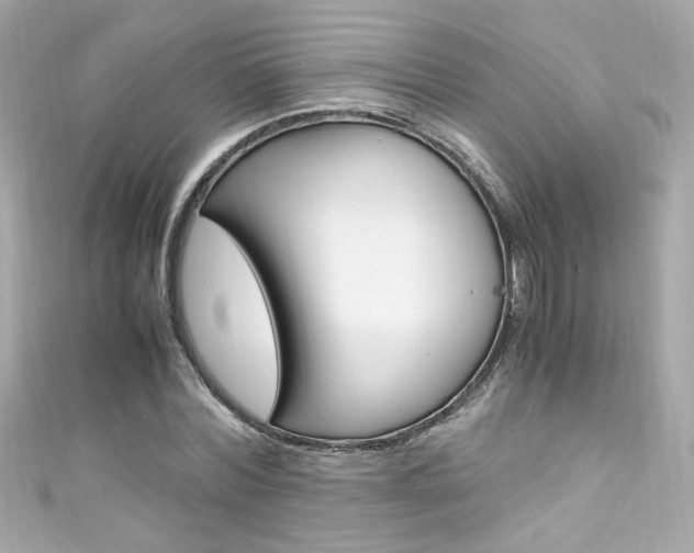X0000111600780200907161213