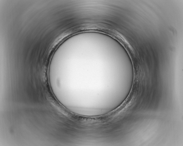 X0000111600786200907161213