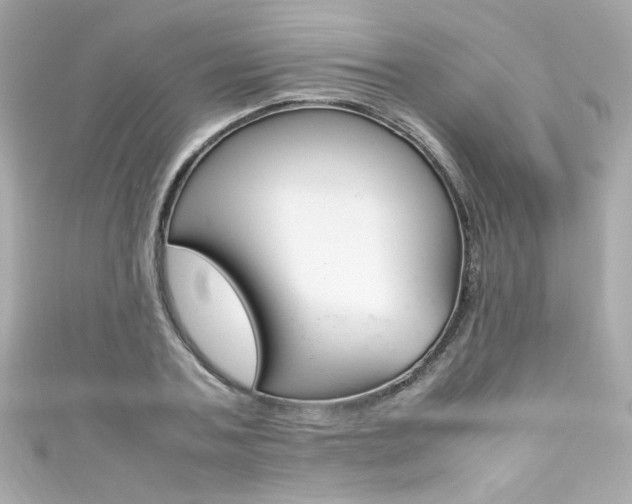 X0000111600787200907161213