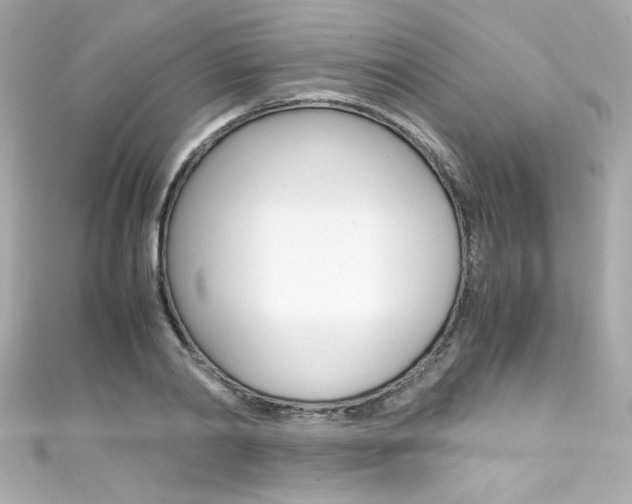 X0000111600790200907161213