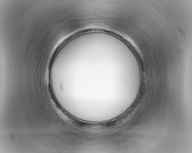 X0000111600791200907161213