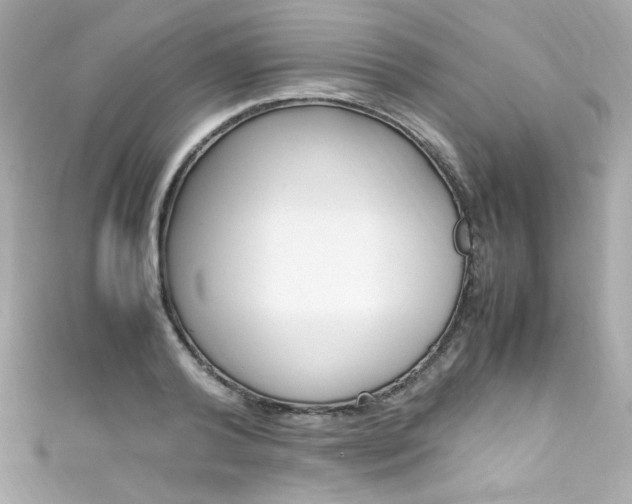X0000111600792200907161213