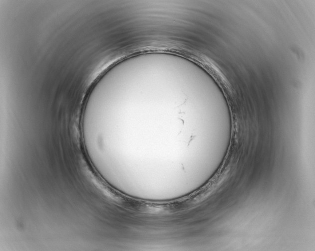 X0000111600794200907161213