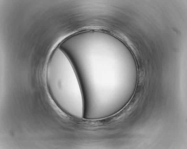 X0000111600795200907161213