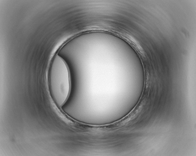 X0000111600796200907161213