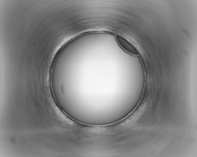 X0000111600797200907161213
