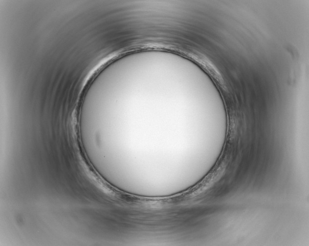 X0000111600798200907161213