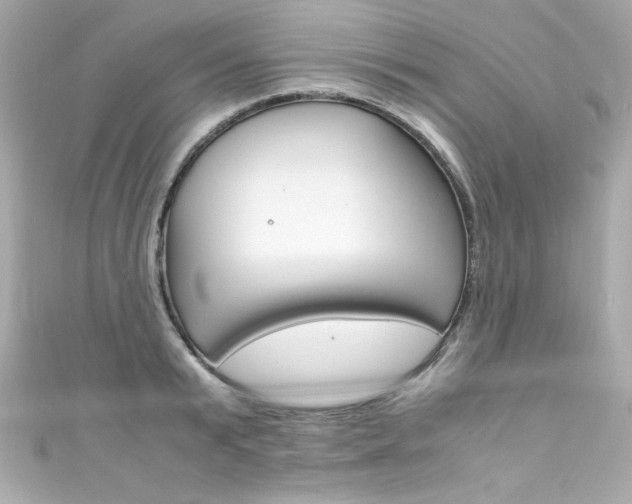 X0000111600799200907161213