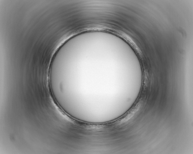 X0000111600802200907161213