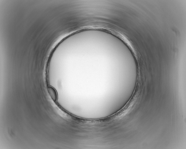 X0000111600803200907161213