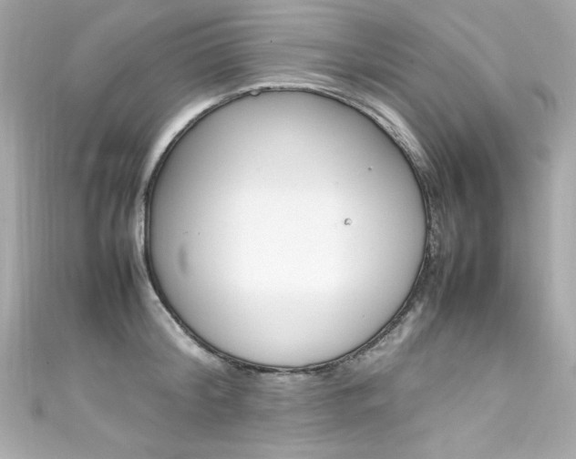 X0000111600804200907161213