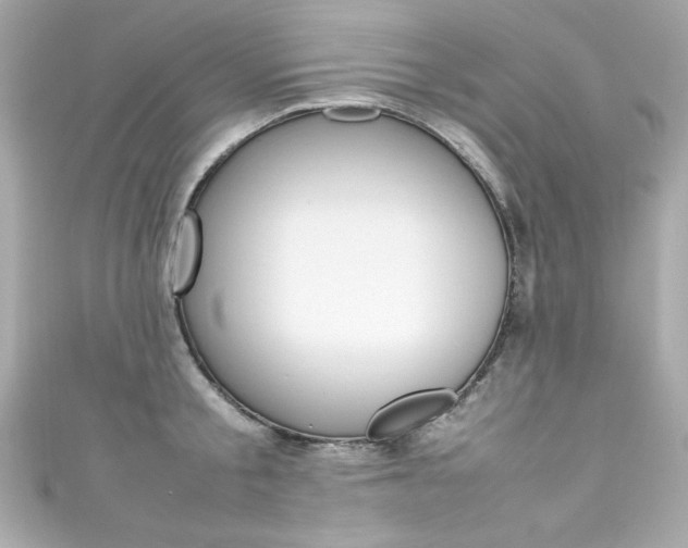 X0000111600805200907161212