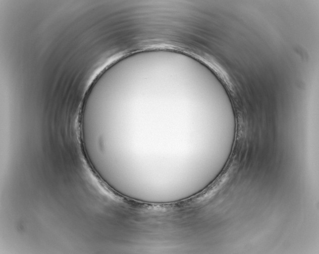 X0000111600806200907161212