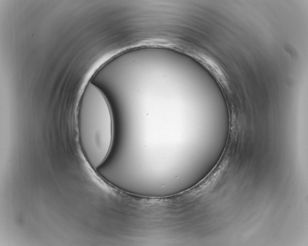 X0000111600808200907161212