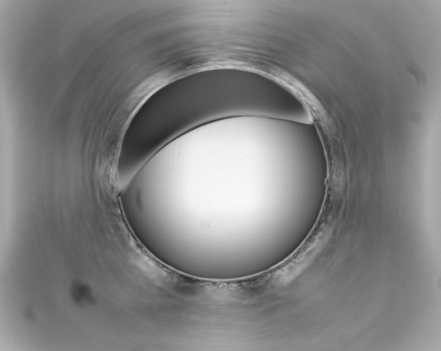 X0000111600809200907161212