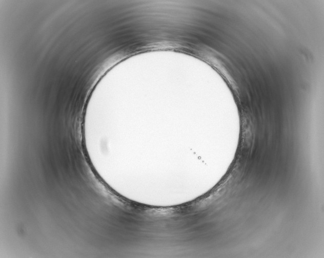 X0000111600810200907161212