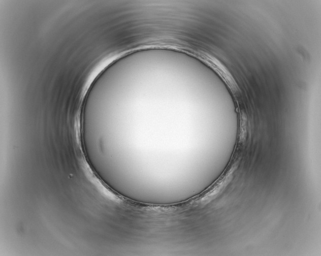 X0000111600812200907161212