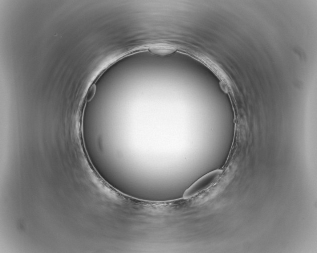 X0000111600813200907161212