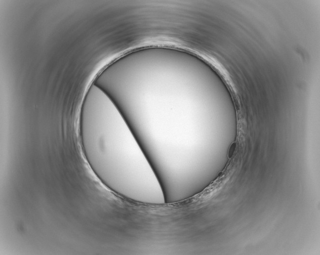 X0000111600815200907161212