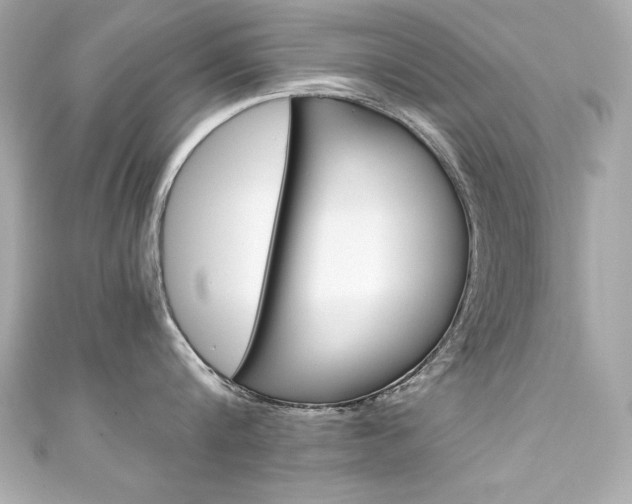 X0000111600816200907161212