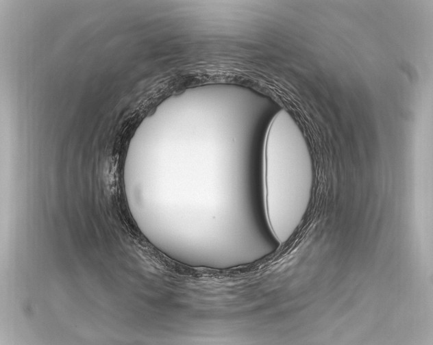 X0000111600818200907161212