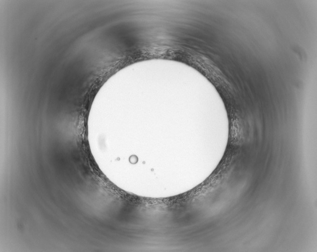 X0000111600820200907161212