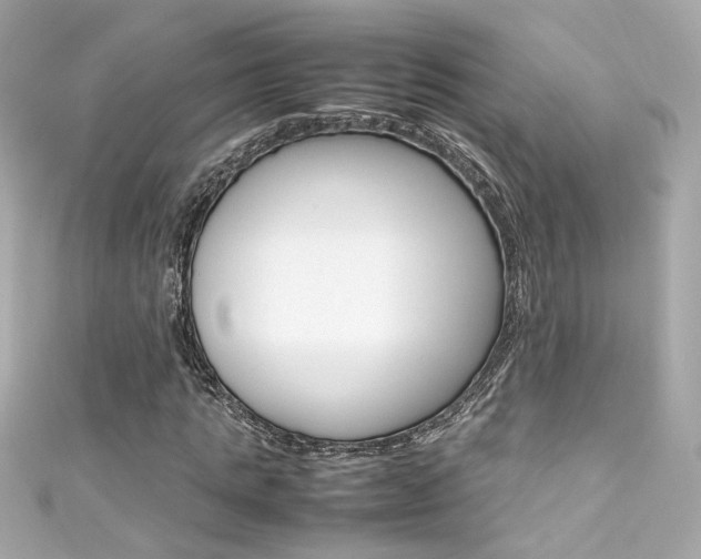 X0000111600821200907161212