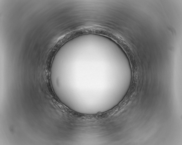 X0000111600822200907161212