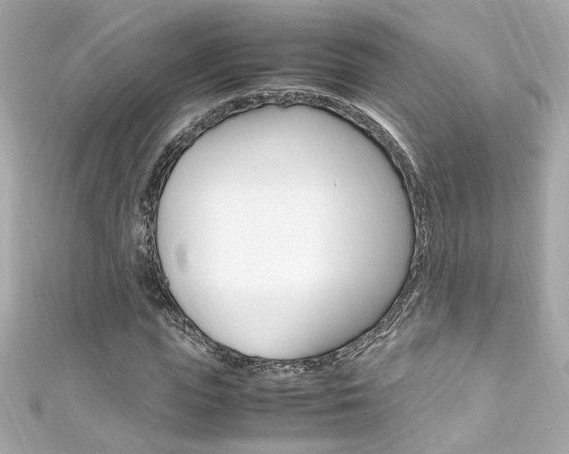 X0000111600823200907161212