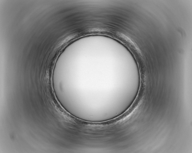 X0000111600825200907161212