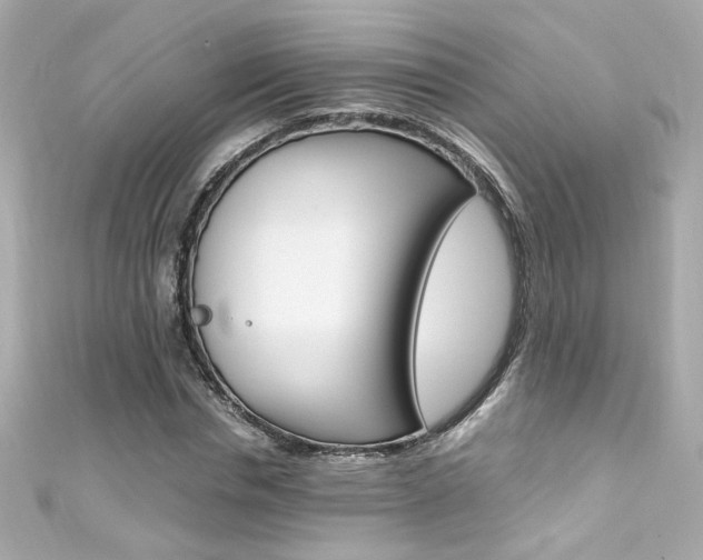 X0000111600826200907161212