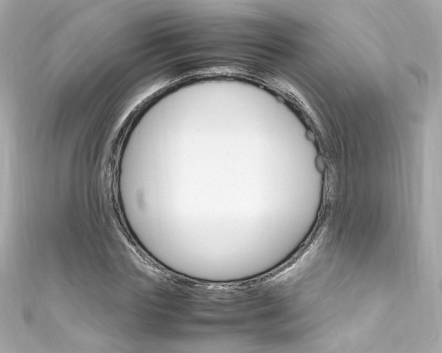 X0000111600827200907161212
