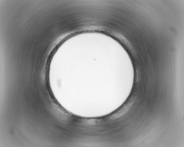 X0000111600828200907161212
