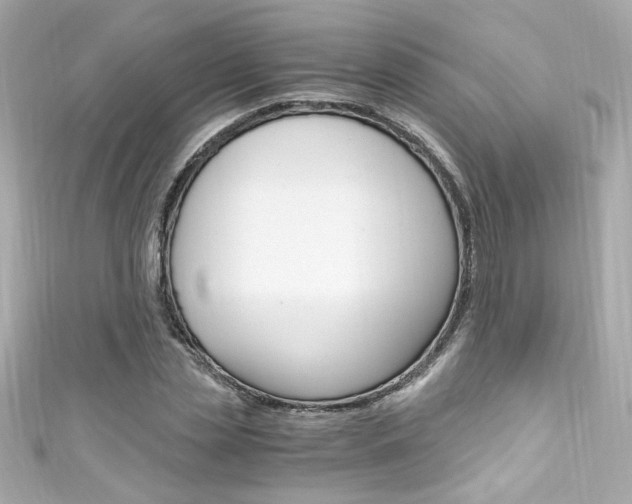 X0000111600829200907161212