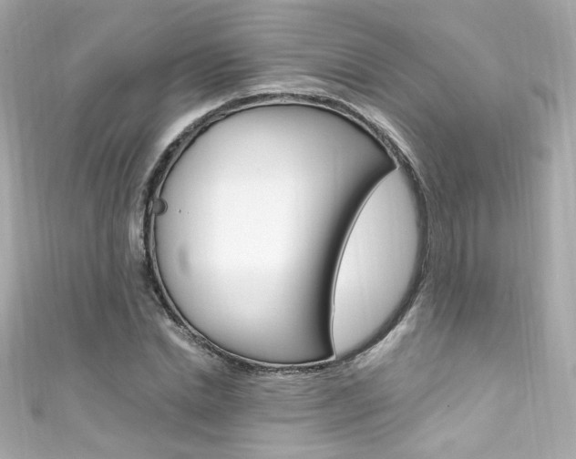 X0000111600830200907161212