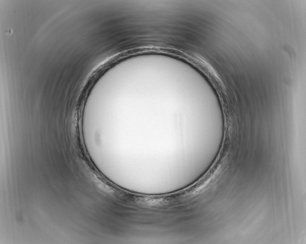 X0000111600831200907161212