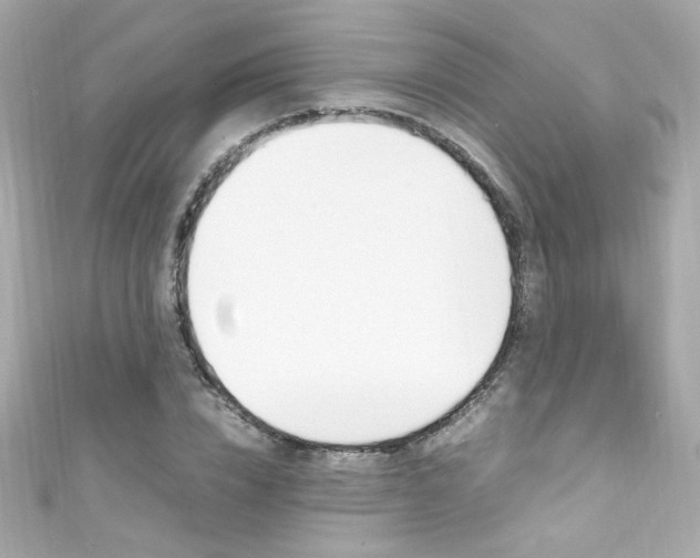 X0000111600832200907161212