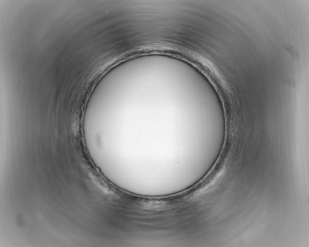 X0000111600833200907161212