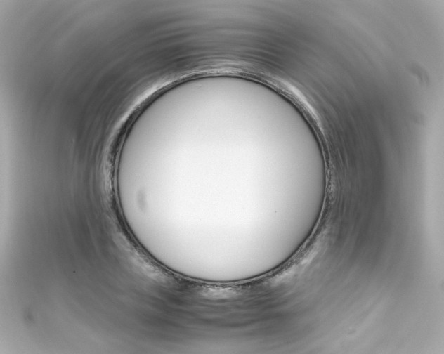 X0000111600835200907161212