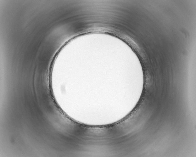 X0000111600836200907161212