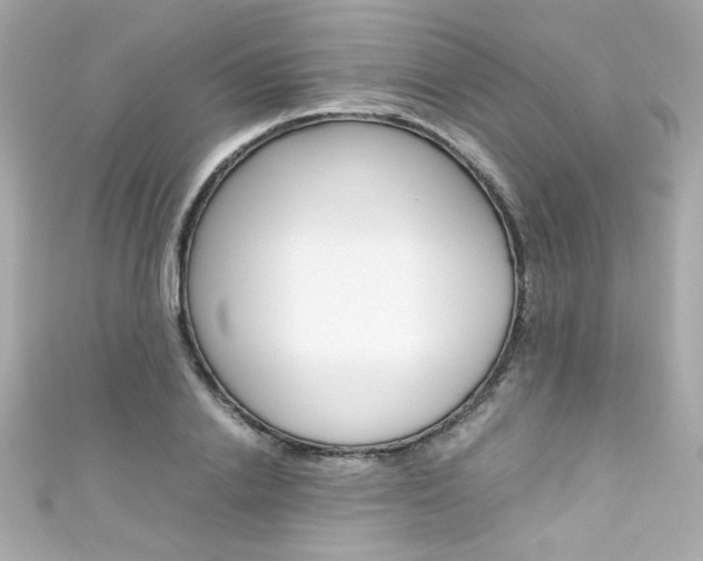 X0000111600838200907161212