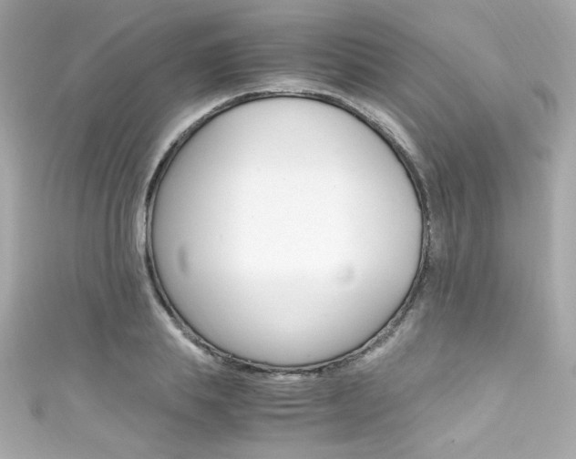 X0000111600839200907161212