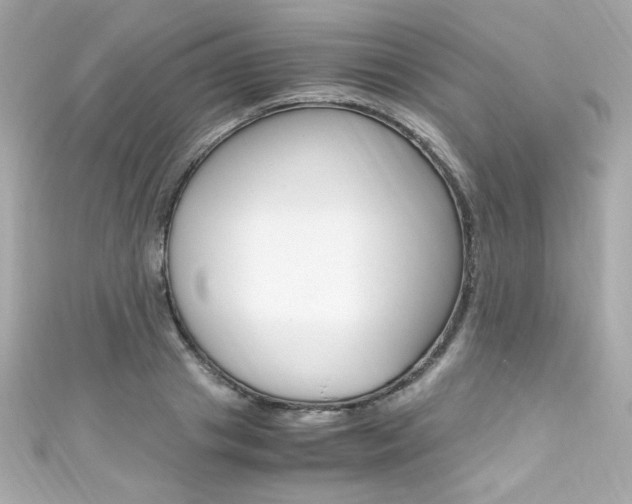 X0000111600841200907161212