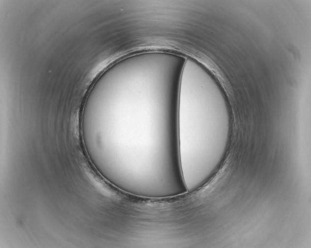 X0000111600842200907161212