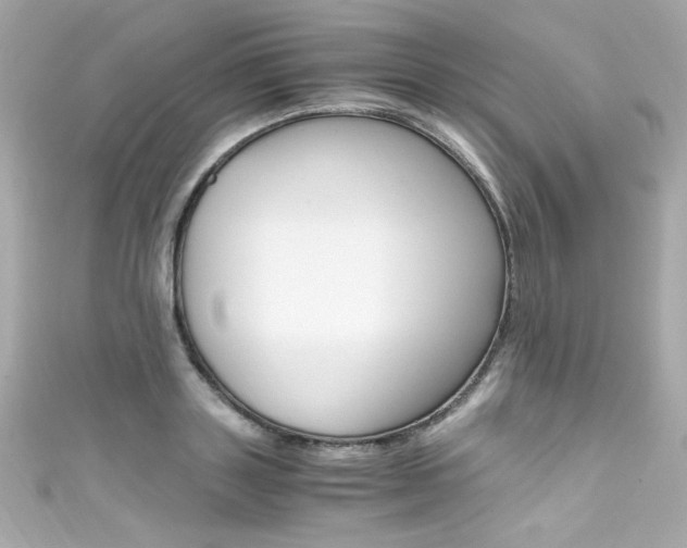 X0000111600843200907161212
