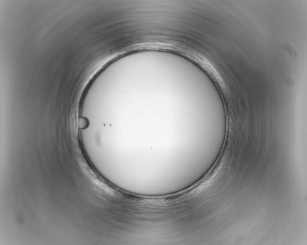 X0000111600844200907161212