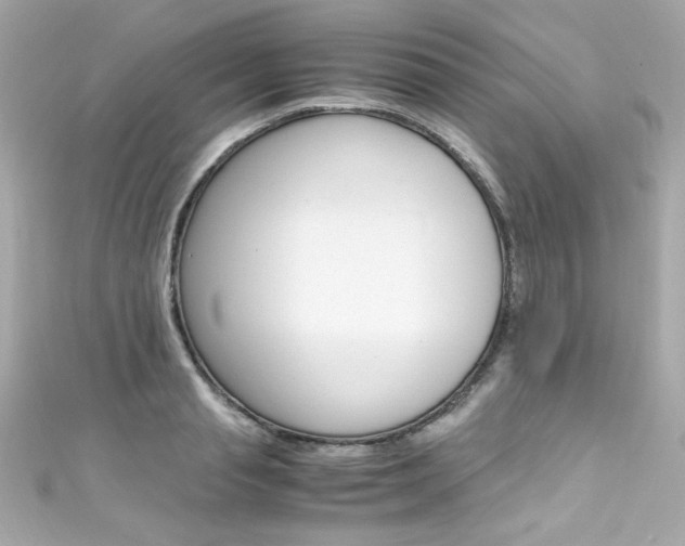 X0000111600845200907161212