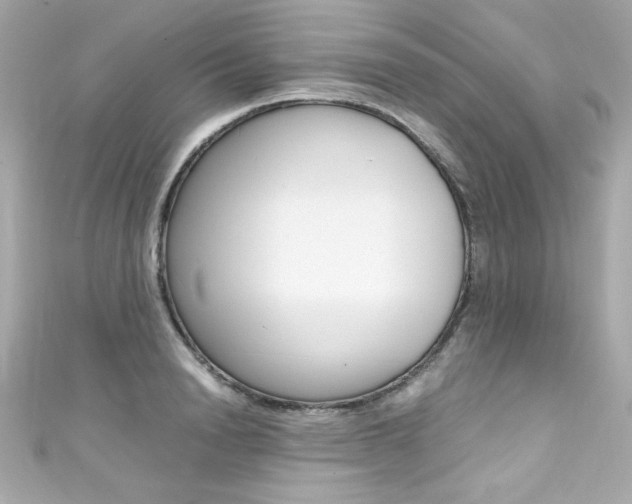X0000111600846200907161212