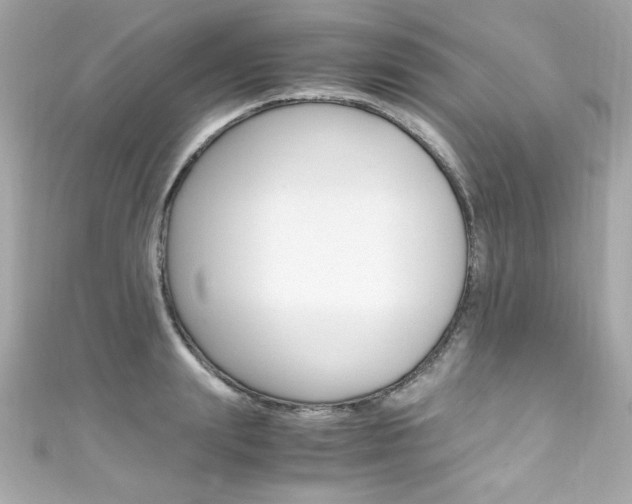 X0000111600847200907161212