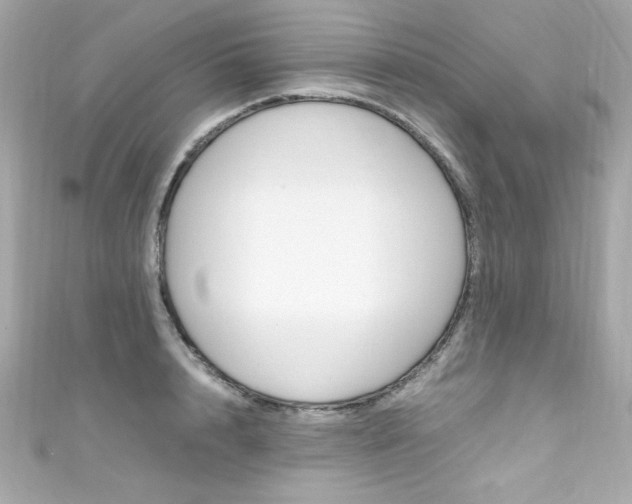 X0000111600848200907161212